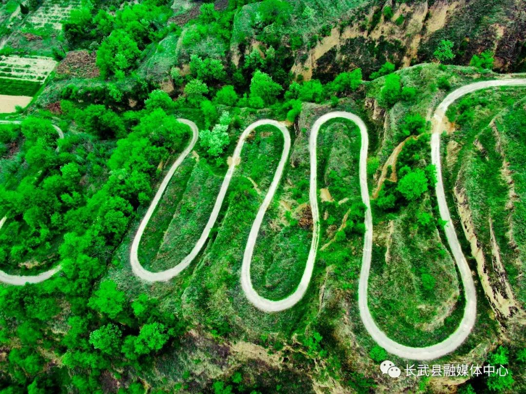 长武避暑胜地,长武青龙山避暑