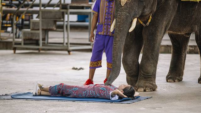 最后的净土,最后的净土格陵兰岛
