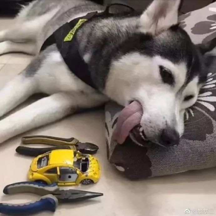 钢铁直男现场示范,如何做一个体贴的男人…哈哈哈哈哈哈哈哈