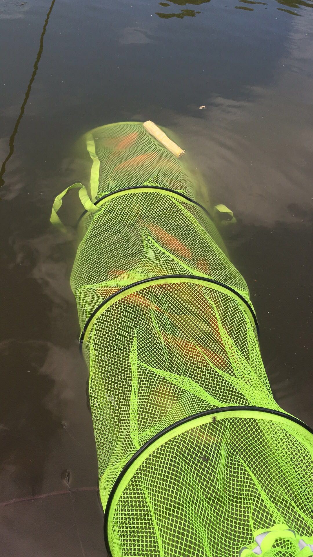 黑坑第二三场钓不到鱼,黑坑鱼竿第二节容易断