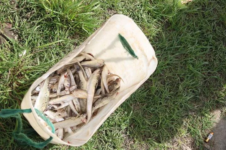 海宁美食十全九美,海宁的美食是什么