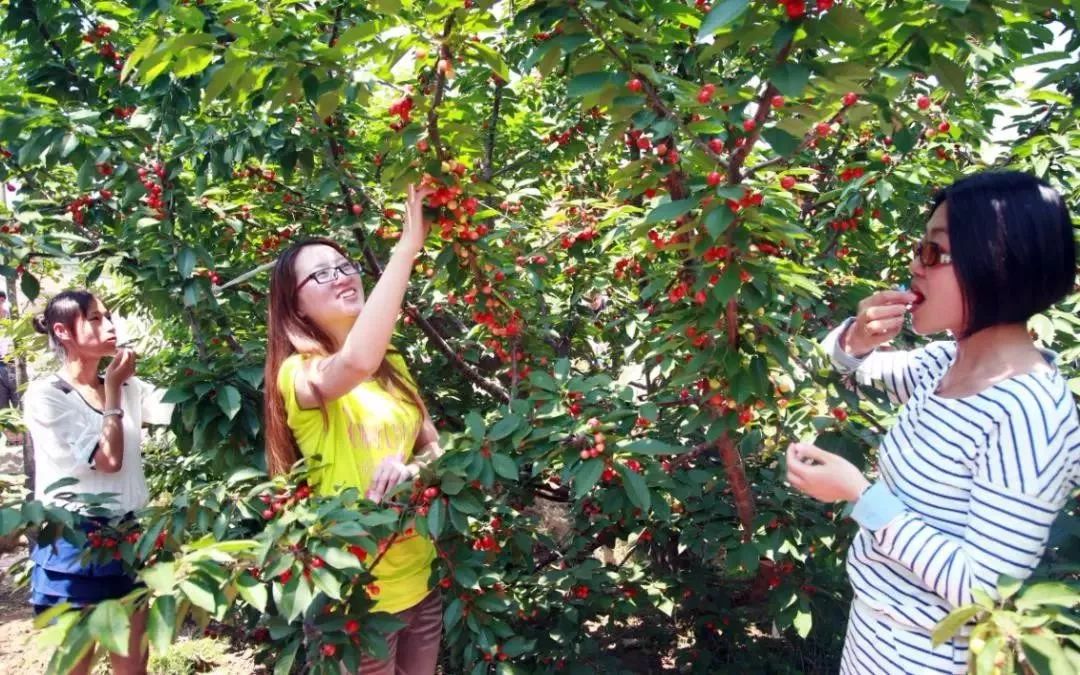 乳山周末好去处,乳山踏秋好去处