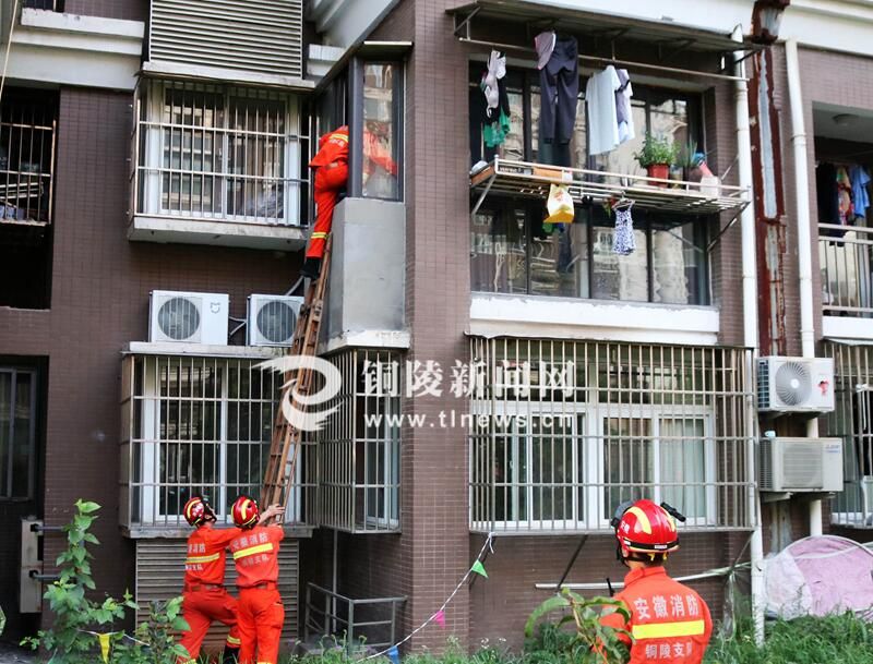 企业退休人员养老金安徽省,铜陵市养老金发放标准