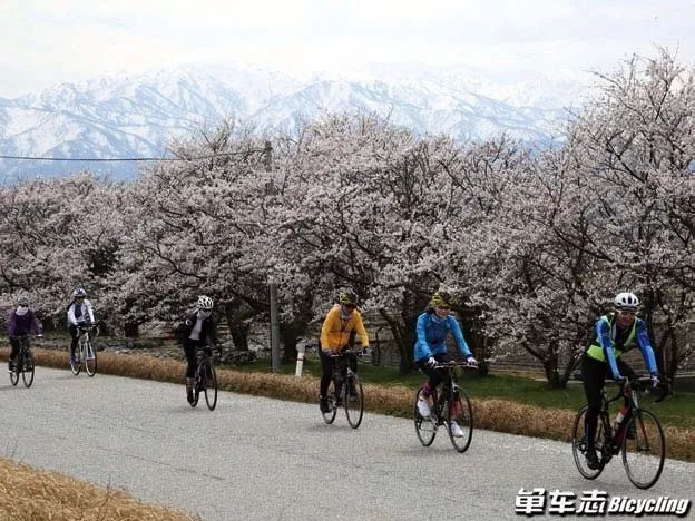 骑车半路抽筋怎么办,骑车膝盖抽筋怎么办