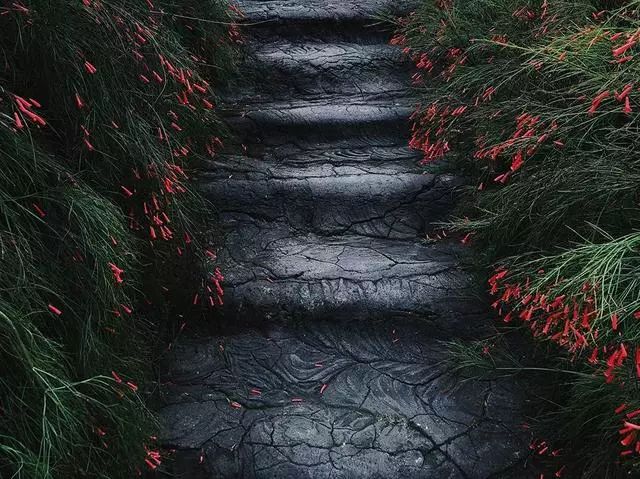 手机摄影大师级作品,手机拍出的大片风景摄影作品