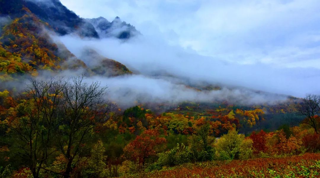 便宜又清凉的避暑地,避暑地推荐