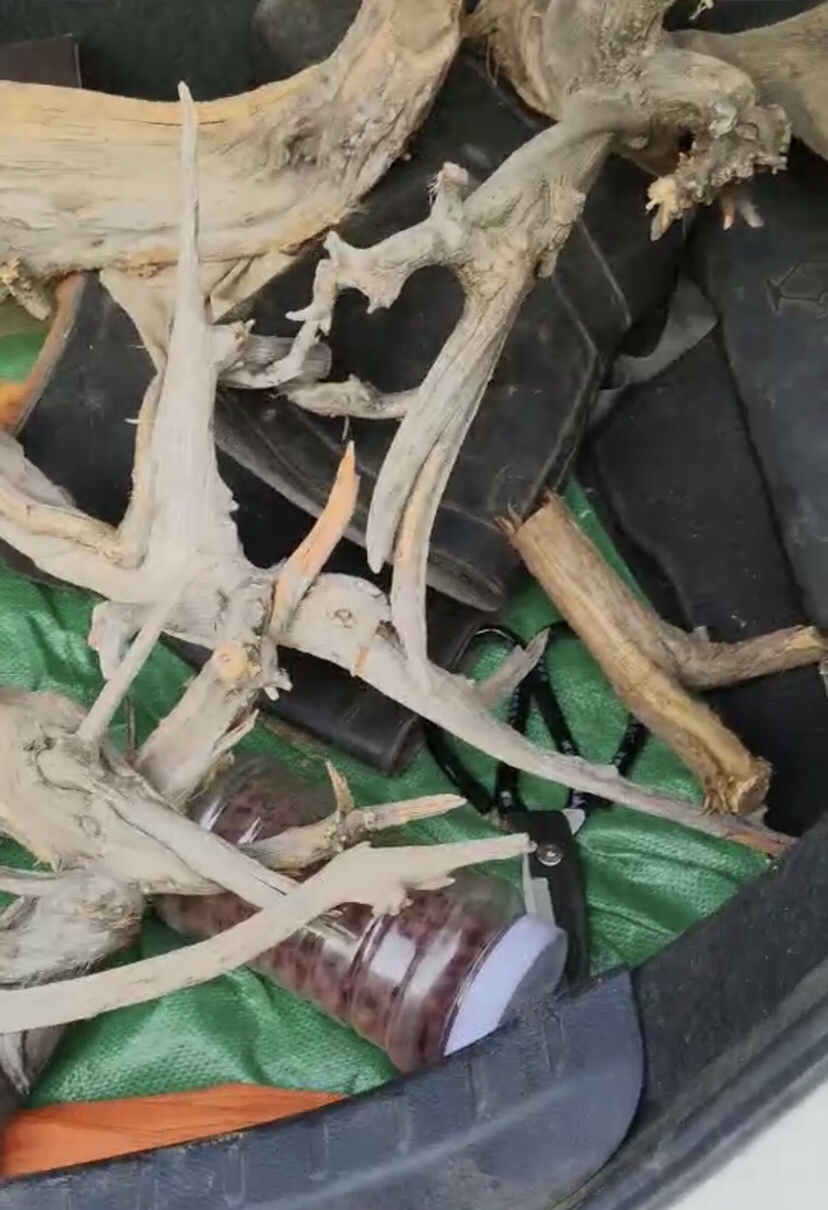 钓鱼装备全套小型鱼竿推荐,私人订制鱼竿路亚