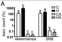 akk益生菌,益生菌akk瘦子菌推荐