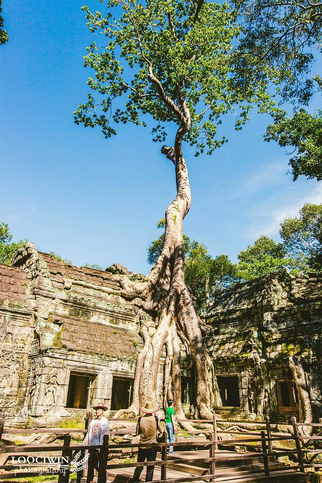 暹粒小吴哥窟游记,暹粒吴哥窟5日游记