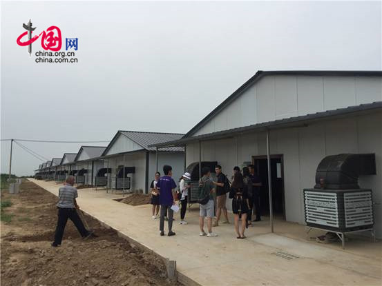 铜川兔业养殖,陕西省同富兔业铜川示范基地