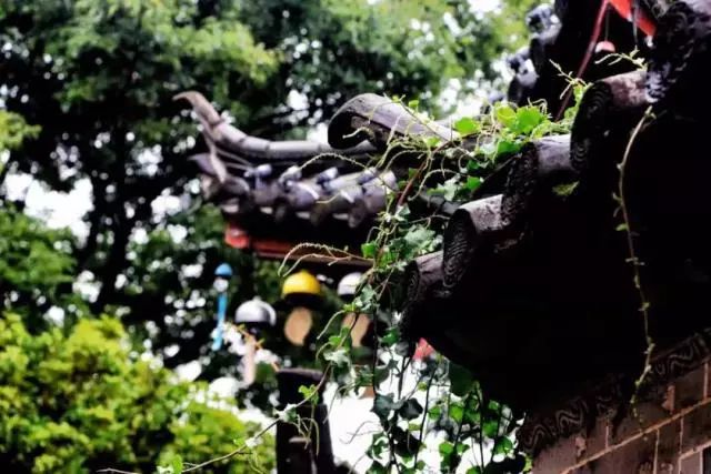 雨天丽江古城旅游攻略,来丽江看雨中的丽江古城