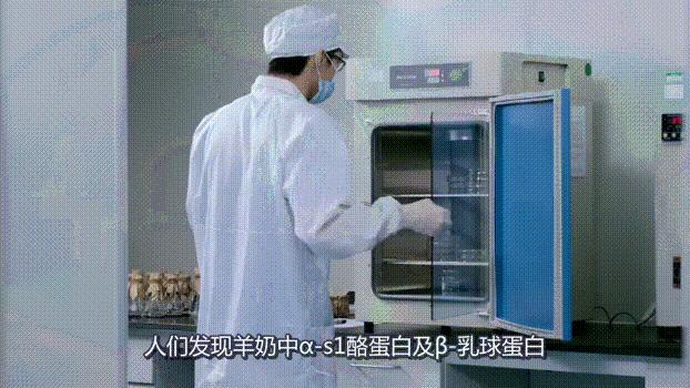 风很大美赞臣,风很大的国产奶粉