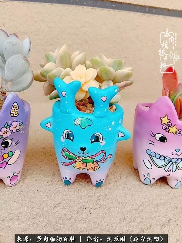 心若向阳无惧晴天,心若向阳不畏风雨