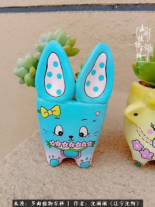 心若向阳无惧晴天,心若向阳不畏风雨