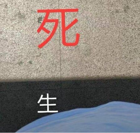 刘飞儿酒店直播，洗完头直播间没了？