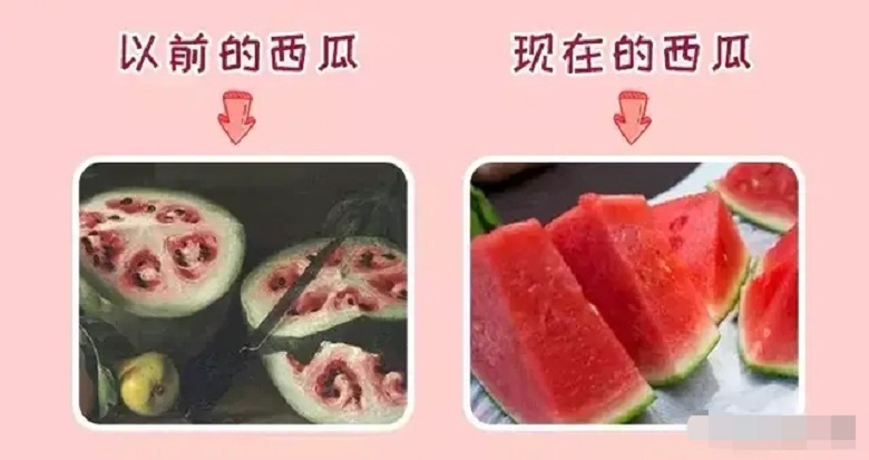 古代的水果跟现在的水果对比,古代的水果长啥样