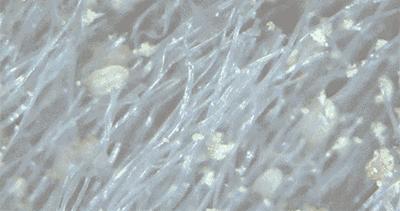 最先进的除螨仪,日本老牌除螨仪