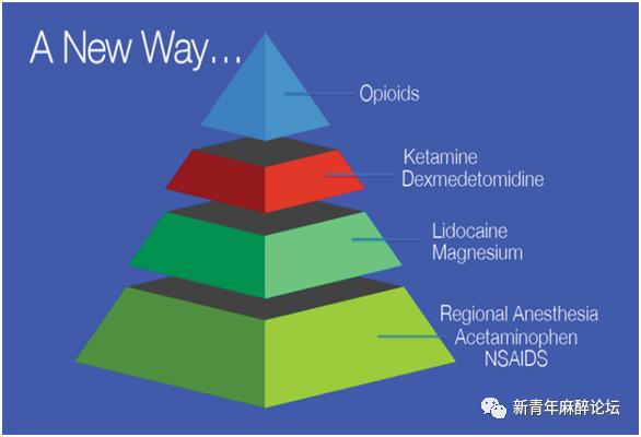 Anaesthesia述评|神经阻滞的未来：不只属于“行家里手”