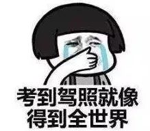 洛阳考驾照最快的驾校,洛阳市各驾校考试过关率