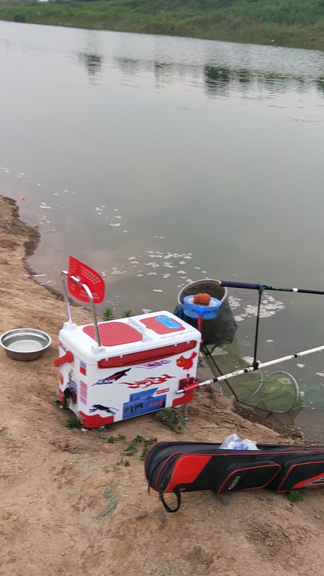 野河夜钓，偶遇大鲤妹子成功帮我解毒