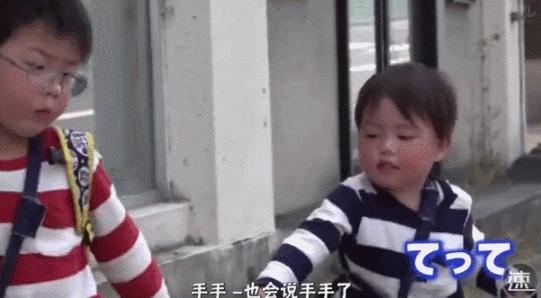 日本跟拍29年的神作，建议你谨慎观看