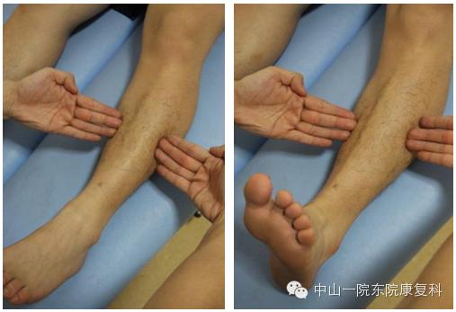 筋膜的康复训练方法,12条筋膜链解析及治疗手法