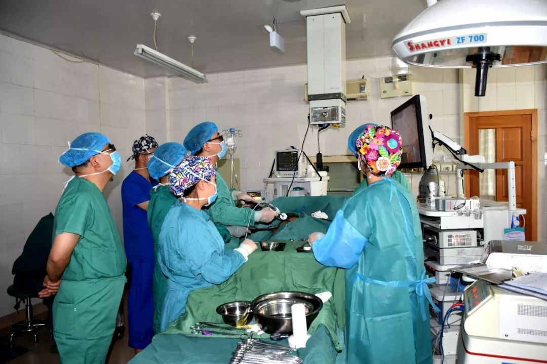 全国百城公益联动活动,防治肿瘤公益行动