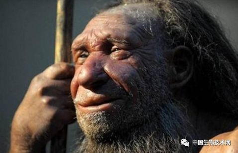 年轻恒牙牙根折裂再生,再生牙有实现的可能吗