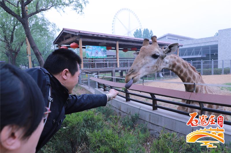 七夕好玩的地方石家庄,七夕情侣约会的地方石家庄