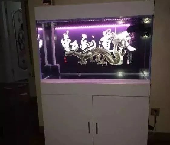 罗汉鱼开缸全过程,罗汉缸需要多少钱