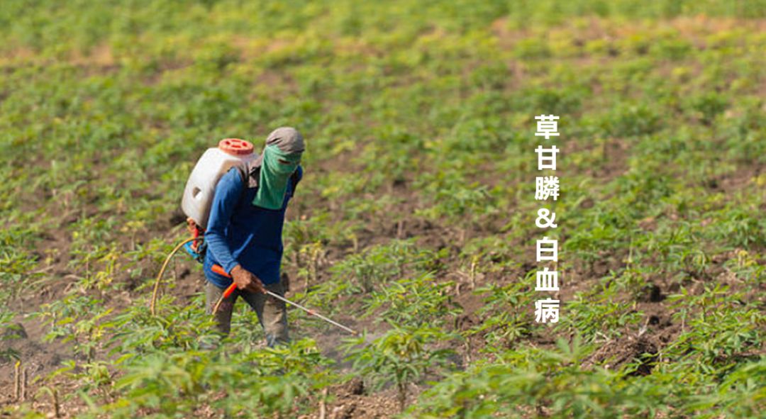 灾难对人类的危害,灾难对人们有哪些负面影响