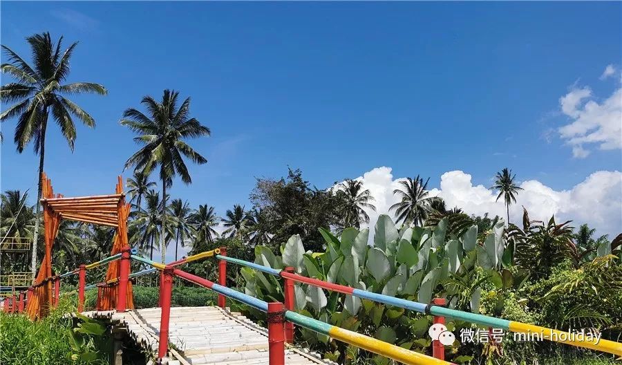 亲历|火山海龟岛屿，盼来武汉直航！“5小时飞行+落地签”身临奇境「398」