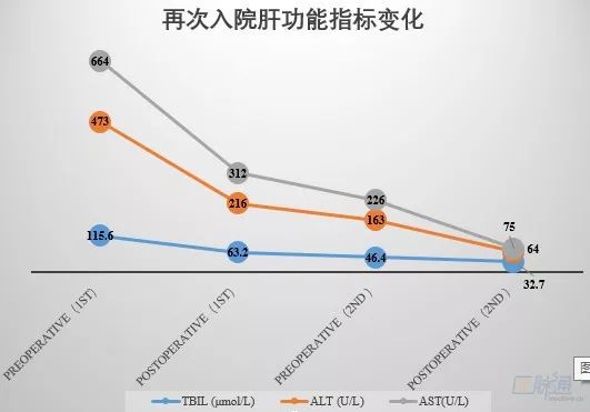 自免肝甲亢,自免肝是不是甲亢引起的