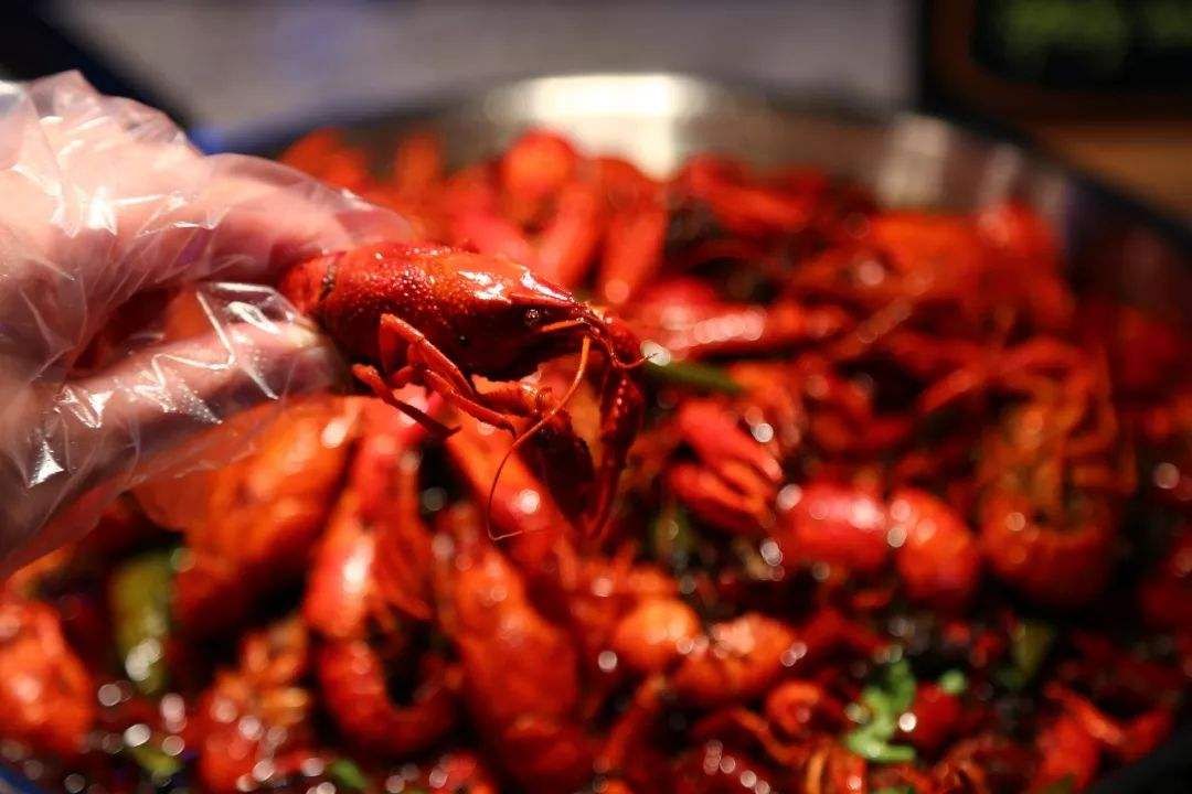 数千名登山爱好者齐聚,千名登山爱好者徒步山间