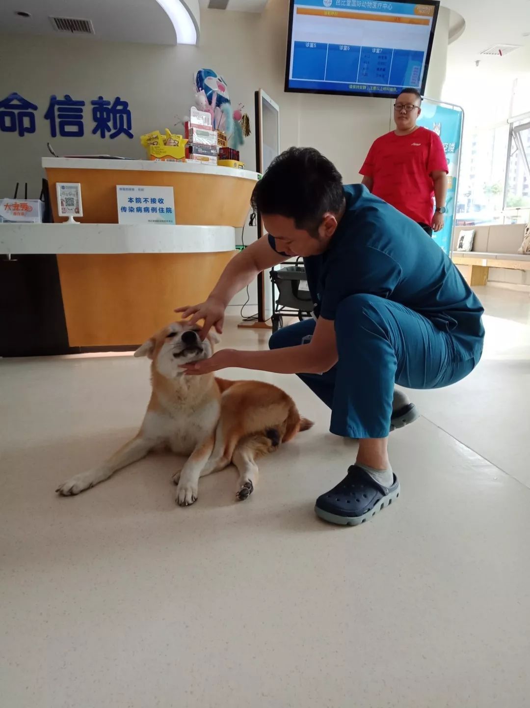 鍖椾含鍔ㄧ墿鍖荤敓,鍖椾含鍔ㄧ墿鍖诲涓撲笟