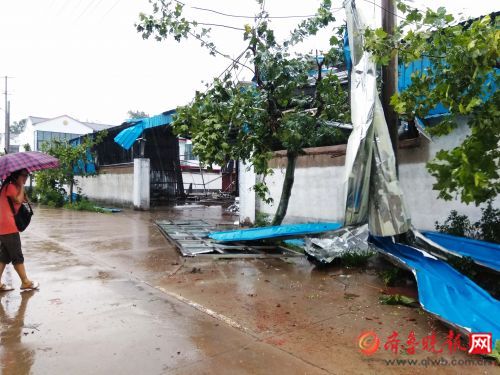 临沂郯城遭强风袭击,临沂郯城回应遭强风袭击