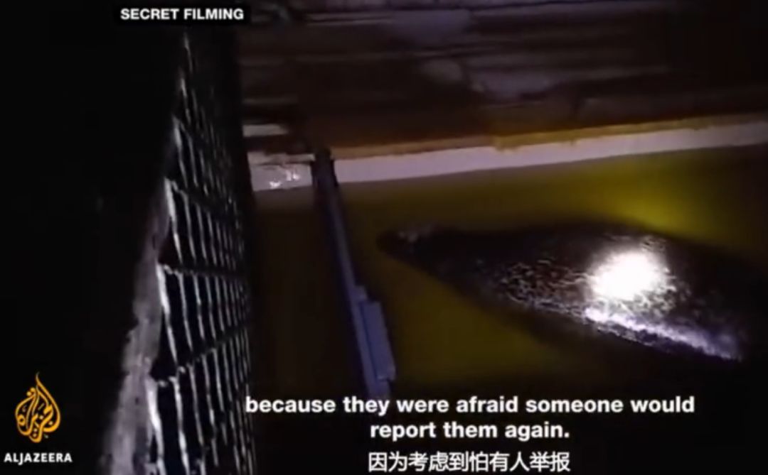 丧心病狂！每帧画面都在捅刀子，多少人忽视了这些人间惨剧…