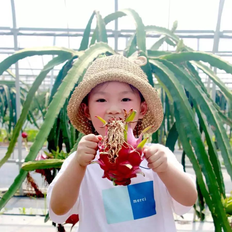 上海儿童兴趣班怎么收费,上海松江儿童兴趣培训班