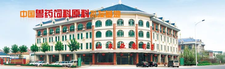 山东亚康药业股份有限公司简介,中国最大兽药料批发基地