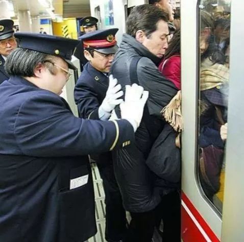 遛狗师真实收入,遛狗师的真实收入