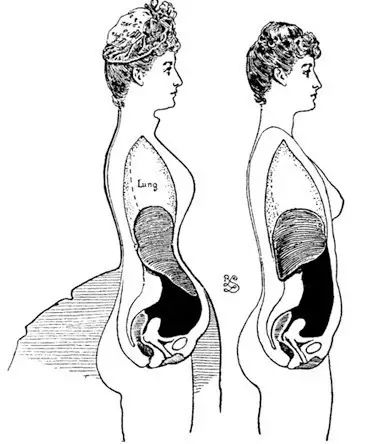 瘦腰神器对身体有害吗,瘦腰神器是真的有效果吗