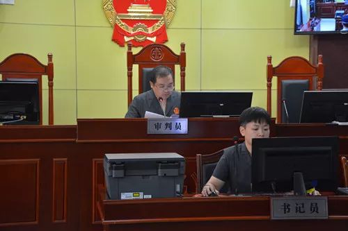 阳新组织卖淫罪判决案例,廉江组织卖淫罪判决一年案例