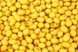 美味又营养的豆腐脑,美味的豆腐脑儿