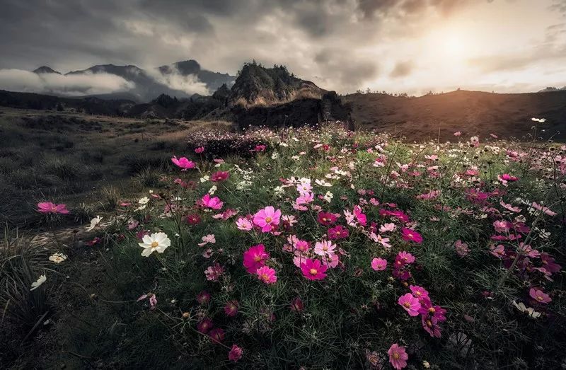 悦读一个人靠谱吗,阅读创造价值