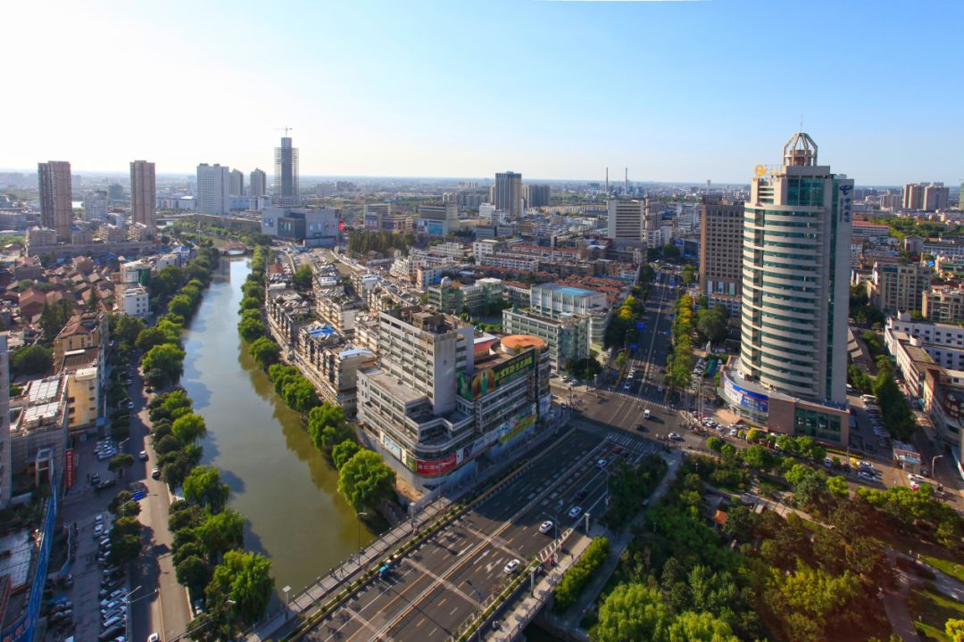 一匹马为何让这座城市的人们又悲又喜？|我家住在解放路