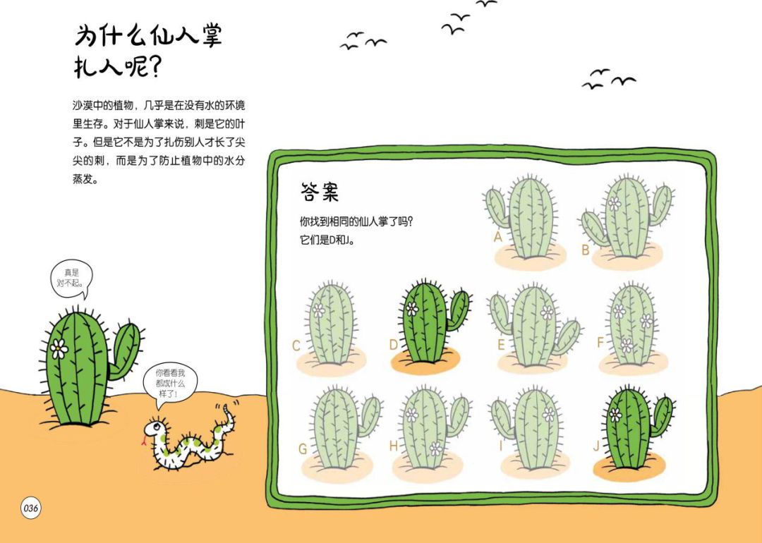 预告|科普又益智的132个游戏，地理、自然、科学轻松学
