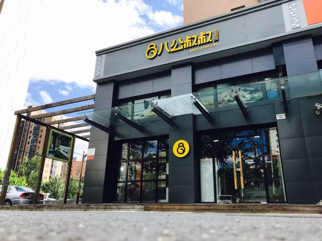 上海八公叔叔宠物服务有限公司,八公叔叔宠物美容连锁广州