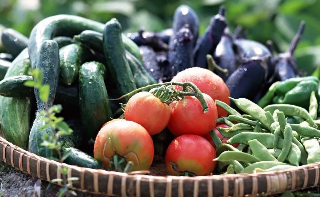 1级致癌坚果有哪些,1级致癌坚果名单