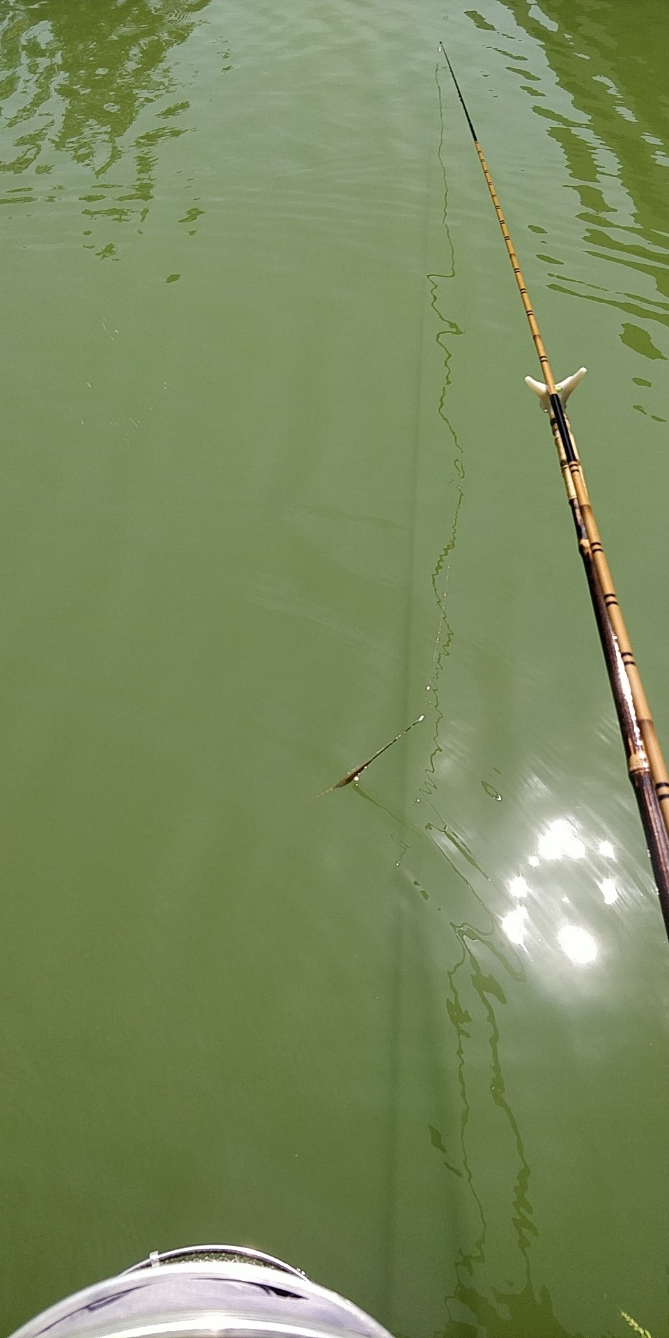 周五钓鱼攻略,周五垂钓