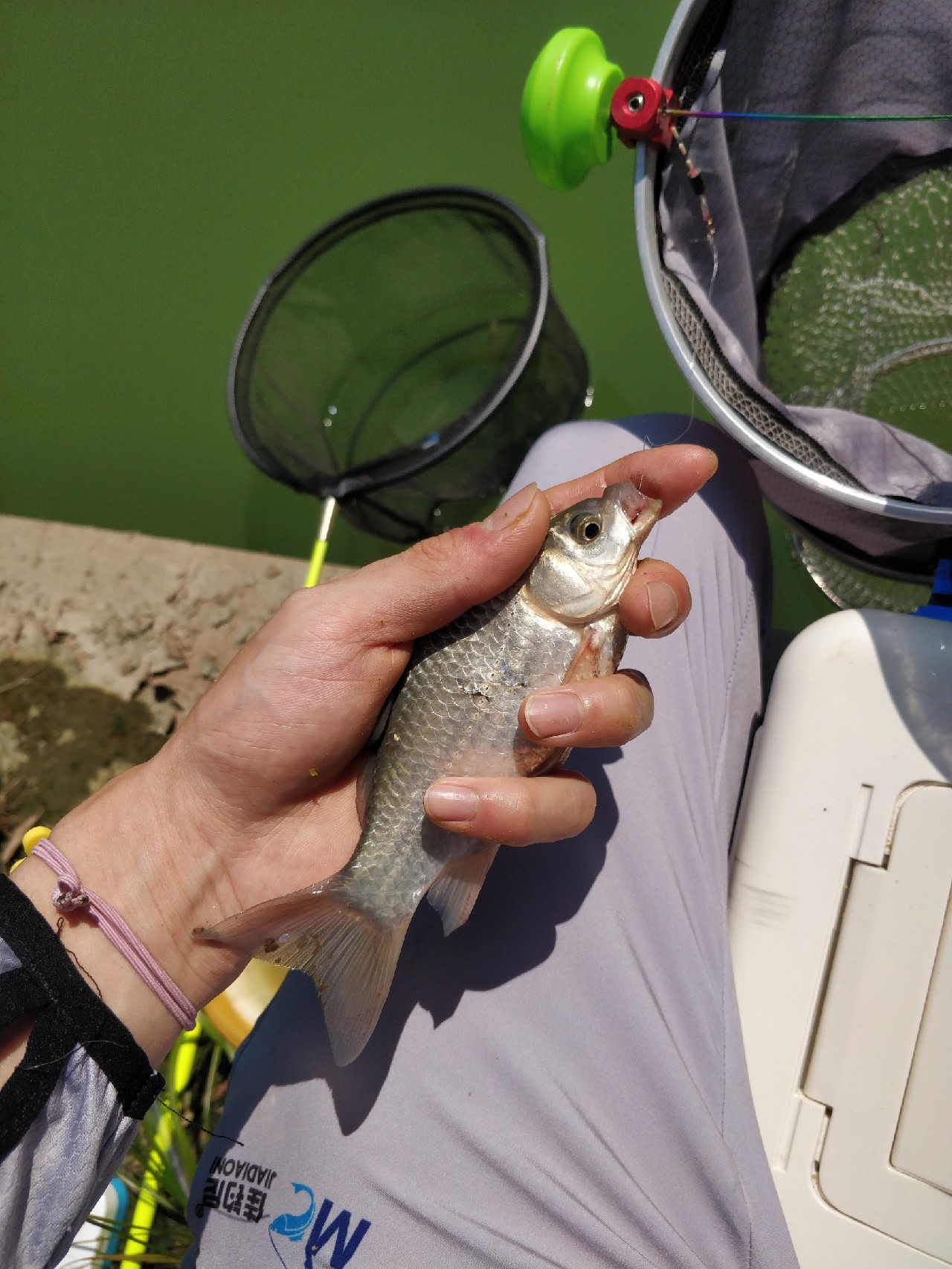 周五钓鱼攻略,周五垂钓